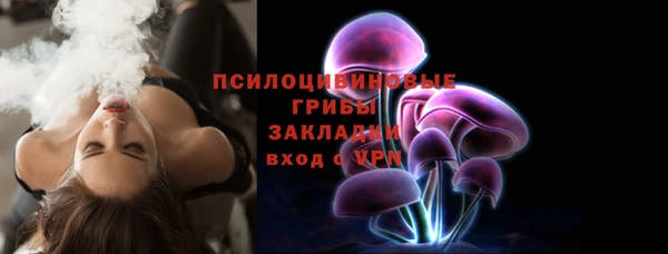 альфа пвп Надым