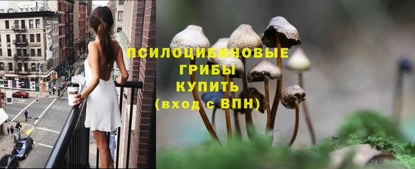альфа пвп Надым