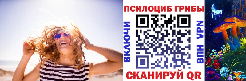 Псилоцибиновые грибы GOLDEN TEACHER  OMG вход  Нытва 